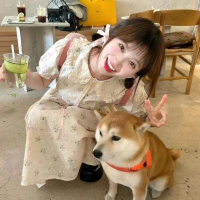 老妇与鸽子